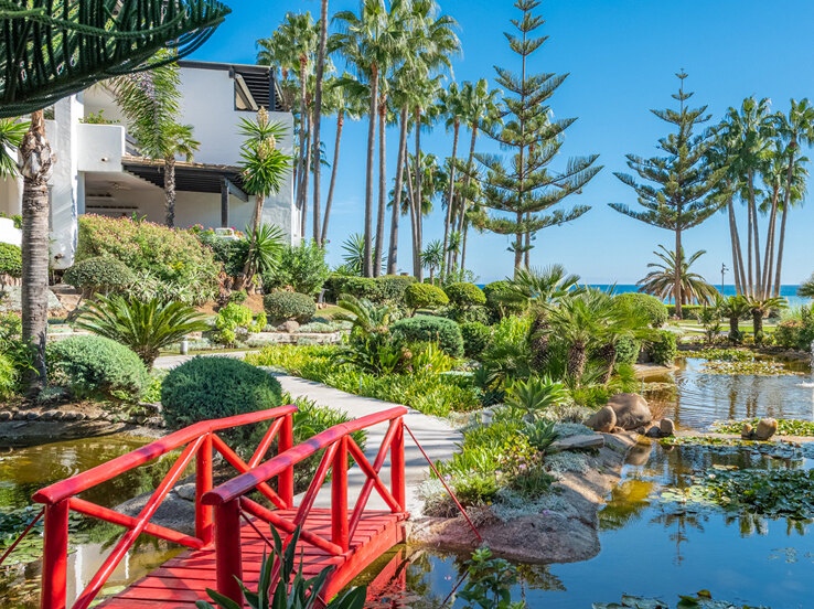 A red footbridge, water gardens and palms in Marina Puente Romano’s Japanese Garden